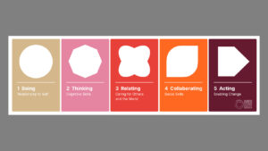 IDG - Inner Development Goals Framework